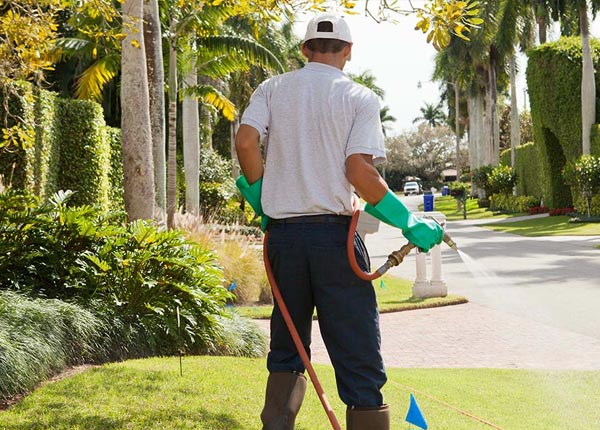 About Alcoa TN Pest Control Pros